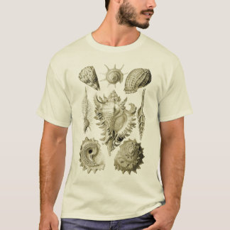 T-shirt Prosobranchia