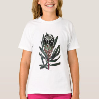 T-shirt Protea Lepidocarpon