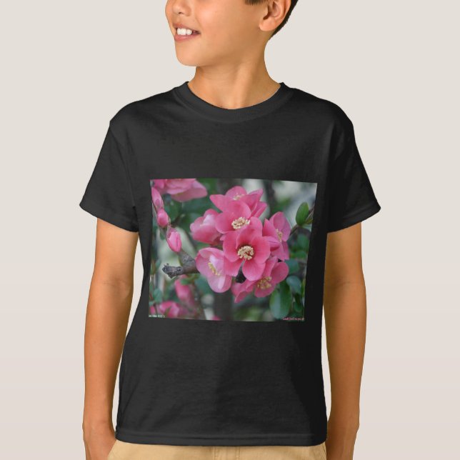 T-shirt Province à fleurs rose du printemps (Devant)