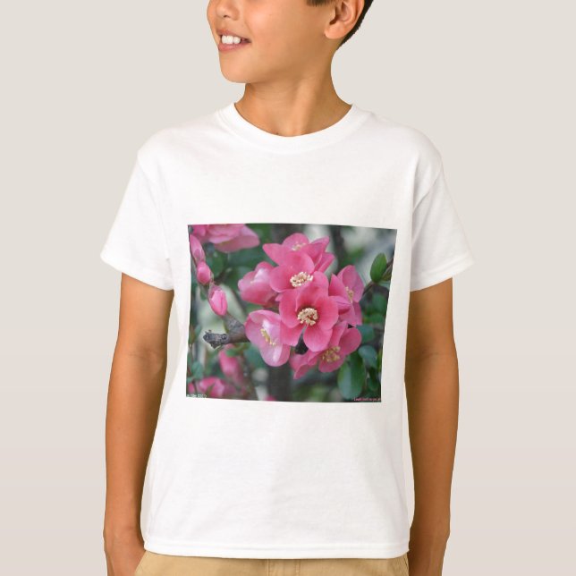 T-shirt Province à fleurs rose du printemps (Devant)