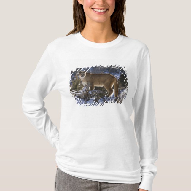 T-shirt Puma (Devant)