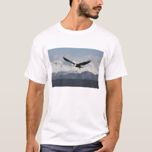 T-shirt Pygargue à tête blanche en vol, Haliaeetus leucoce