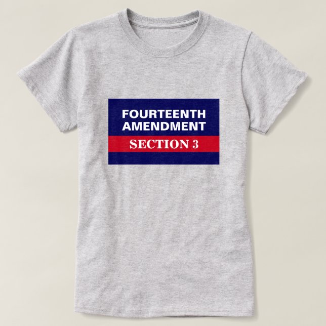 T-shirt Quatorzième amendement Article 3 Constitution (Design devant)