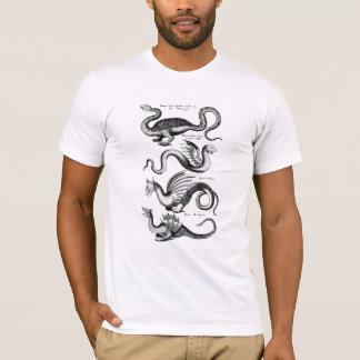 T-shirt Quatre dragons de la mythologie