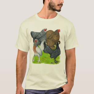 T-shirt Quatuor Bantam Hen