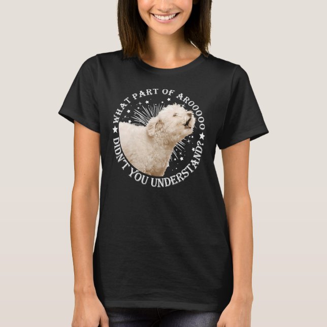 T-shirt Quelle Partie D'Arooooo N'Avez-Vous Pas Compris Le (Devant)