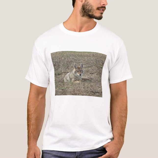 T-shirt R22 Coyote Laying (Devant)