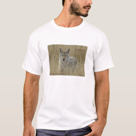 T-shirt R2 Coyote en herbe haute