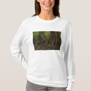 T-shirt Racines de la maîtresse. Rainforest, Mapari Rupun