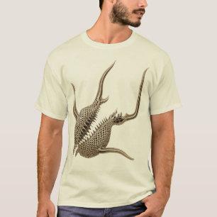 T-shirt Radiolaire