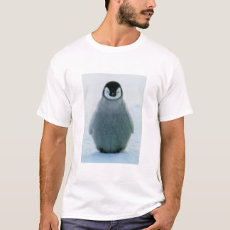 T-shirt Ralph