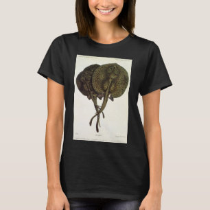 T-shirt Rayons vintages, Animaux de la vie marine