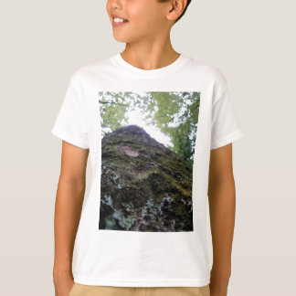 T-shirt Recherche du Kauri