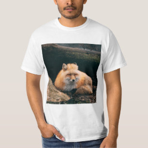 T-shirt Red Fox dormant