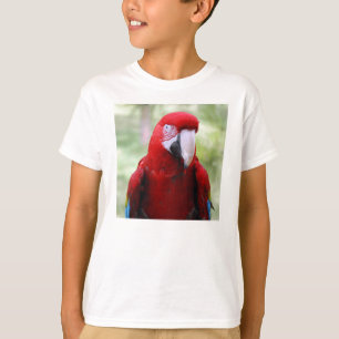 T-shirt red-macaw10x10