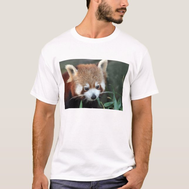T-shirt Red Panda, Zoo de Taronga, Sydney, Australie (Devant)