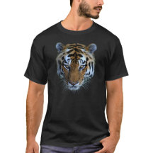 Refroidissement de tête de tigre