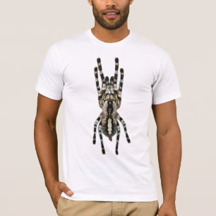 T-shirt Regalis de Poecilotheria (Ornamental indien)