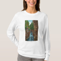 Regard en bas de l'abîme d'Ausable de la caverne