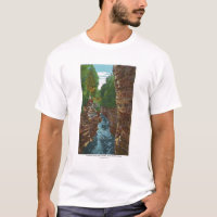 Regard en bas de l'abîme d'Ausable de la caverne