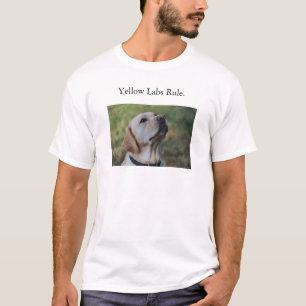 T-shirt Règle jaune de laboratoires