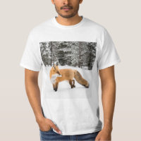 Renard rouge en neige blanche
