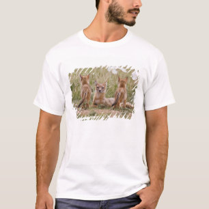 T-shirt Renard swift (Vulpes velox) femelle avec des jeune