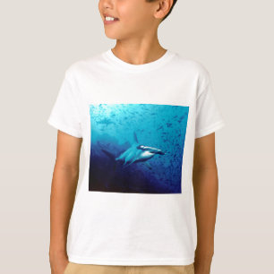 T-shirt Requin de poisson-marteau