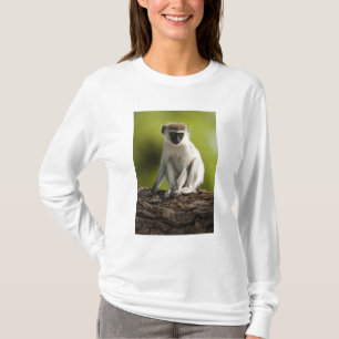 T-shirt Réserve de gibier de Samburu, Kenya, Vervet Monkey