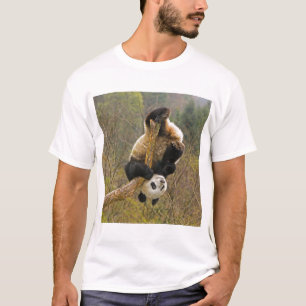 T-shirt Réserve de pandas de Wolong, Chine, 2 ans 1/2