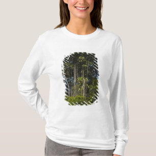 T-shirt Rewa River bordure Forêt Rainforest Guyana