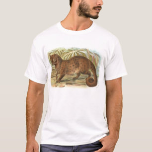T-shirt Richard Lydekker - civette de paume commune