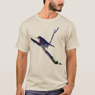 T-shirt Robin Dans La Nature De La Neige