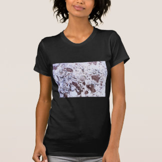 T-shirt Roche fossile