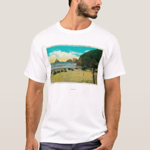 T-shirt Roches de voûte et point de Maxwell