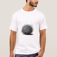 Rollin Tumbleweed Plante illustration Art original