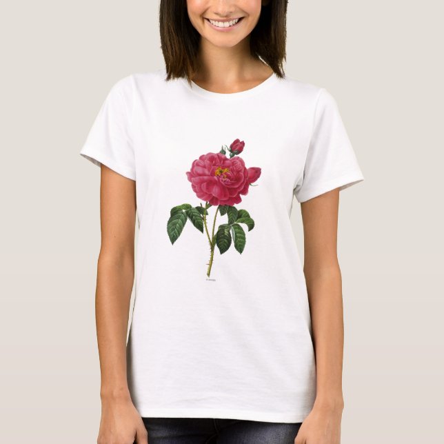 T-shirt Rosa Gallica (Devant)