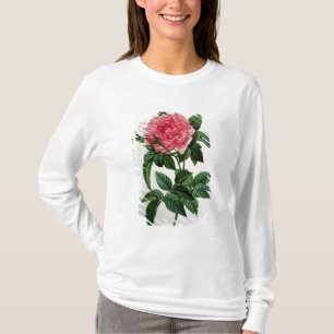 T-shirt Rosa Gallica Regallis