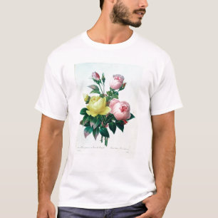 T-shirt Rosa Lutea et Rosa indica