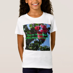 T-Shirt Rosâtre-Voyage du ` s de l'aurore ! : 3