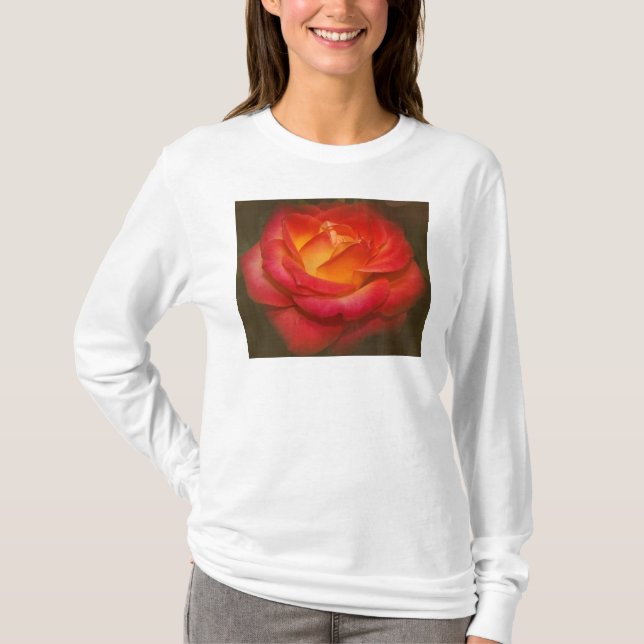 T-shirt Rose à flamme sur parchemin (Devant)