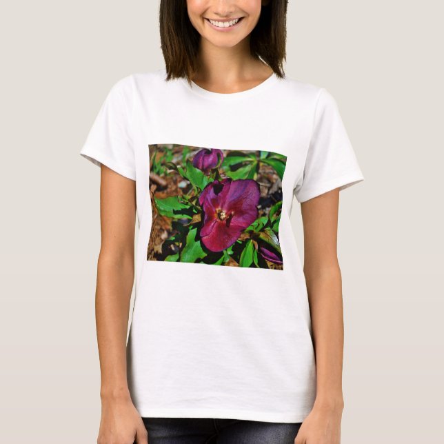 T-shirt Rose de carême rose Bourgogne (Devant)