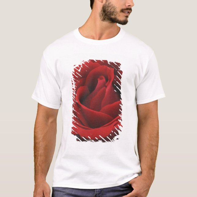 T-shirt Rose rouge de floraison (Devant)