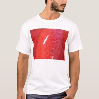 T-shirt Rouge et vert