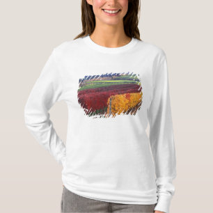T-shirt Rouges et jaunes intenses de l'automne sur Gehring