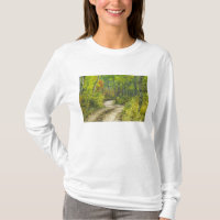 Route avec couleurs d'automne et trembles à Kebler