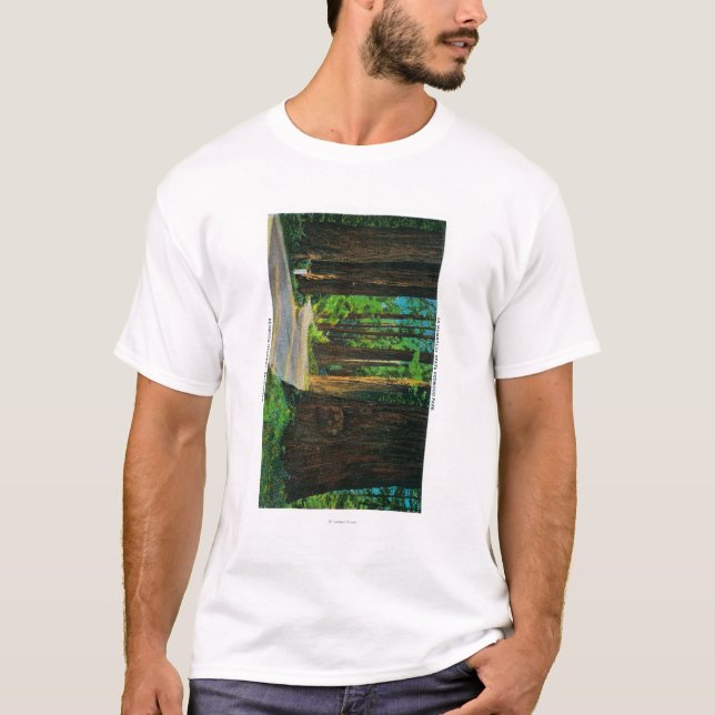 T-shirt Route de séquoia en parc de séquoia d'état de (Devant)