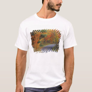 T-shirt Route des arbres d'automne dans le Parc d'état d'