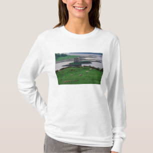 T-shirt Royaume-Uni, Écosse, île de Skye, vieux