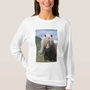 T-shirt Royaume-Uni, Ecosse, Shetland Islands, Shetland po